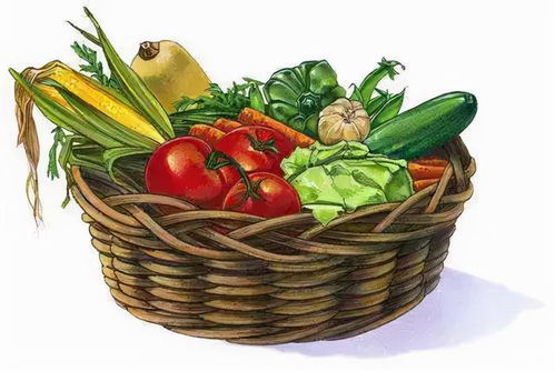 節(jié)前走訪菜市場 貨源充足價(jià)格穩(wěn)，新春苗木添綠意